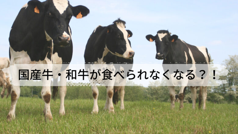 国産牛・和牛が食べられなくなる未来がやってくる？