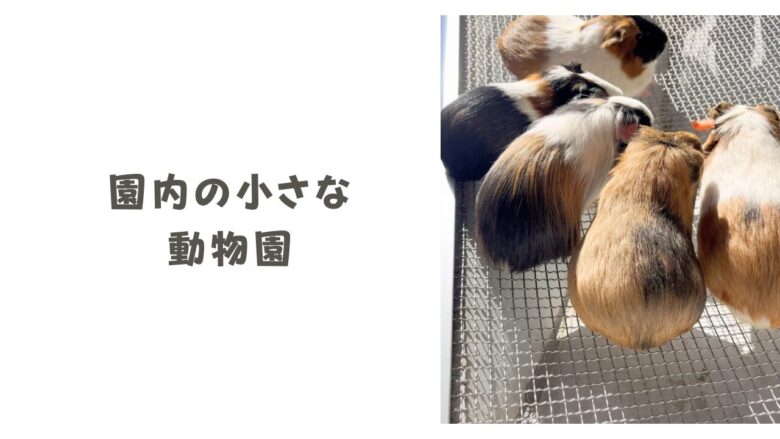 園内の小さな動物園